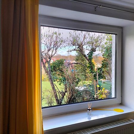 Pension Rosenblick Mörlenbach Екстериор снимка