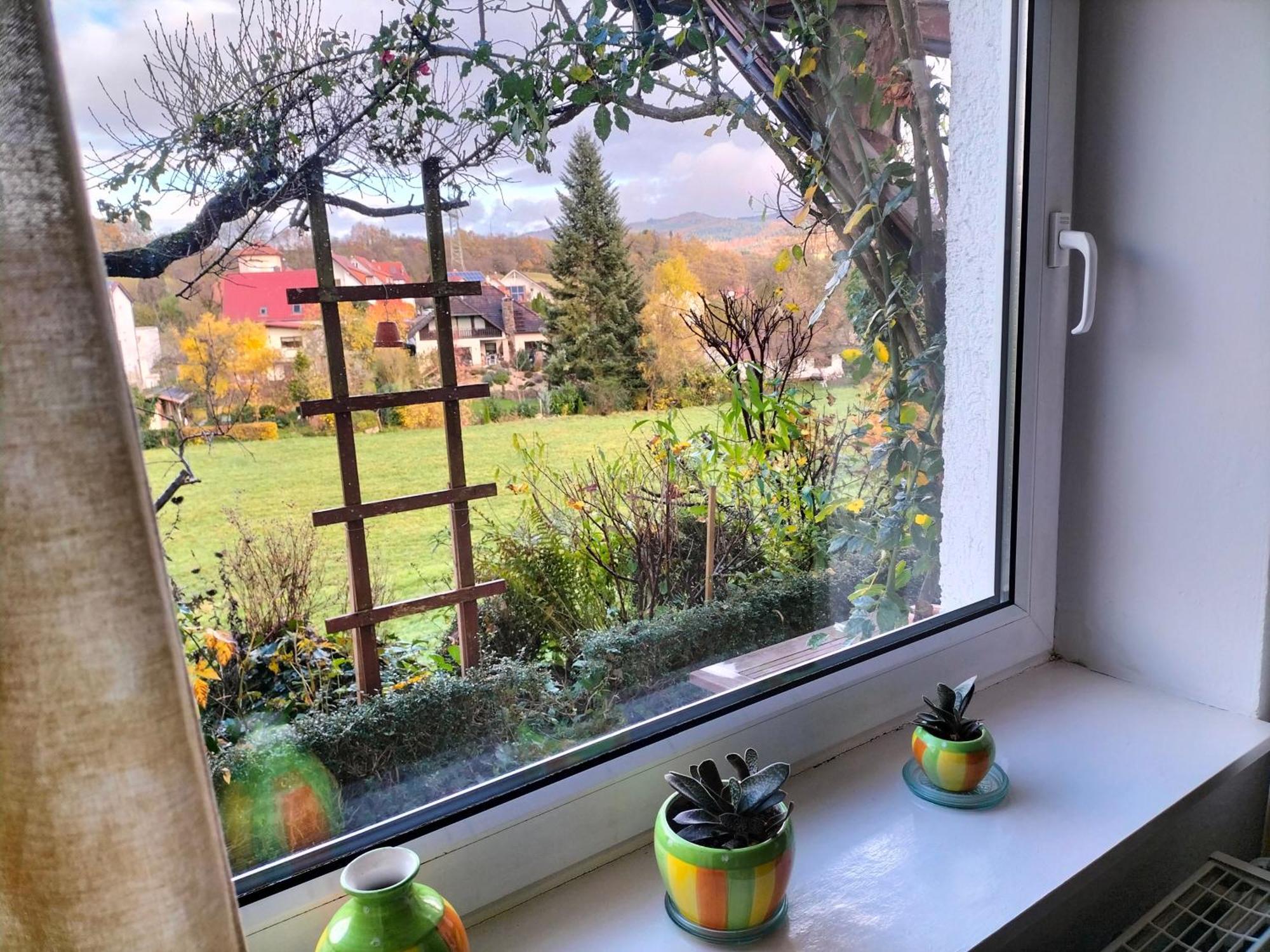 Pension Rosenblick Mörlenbach Екстериор снимка
