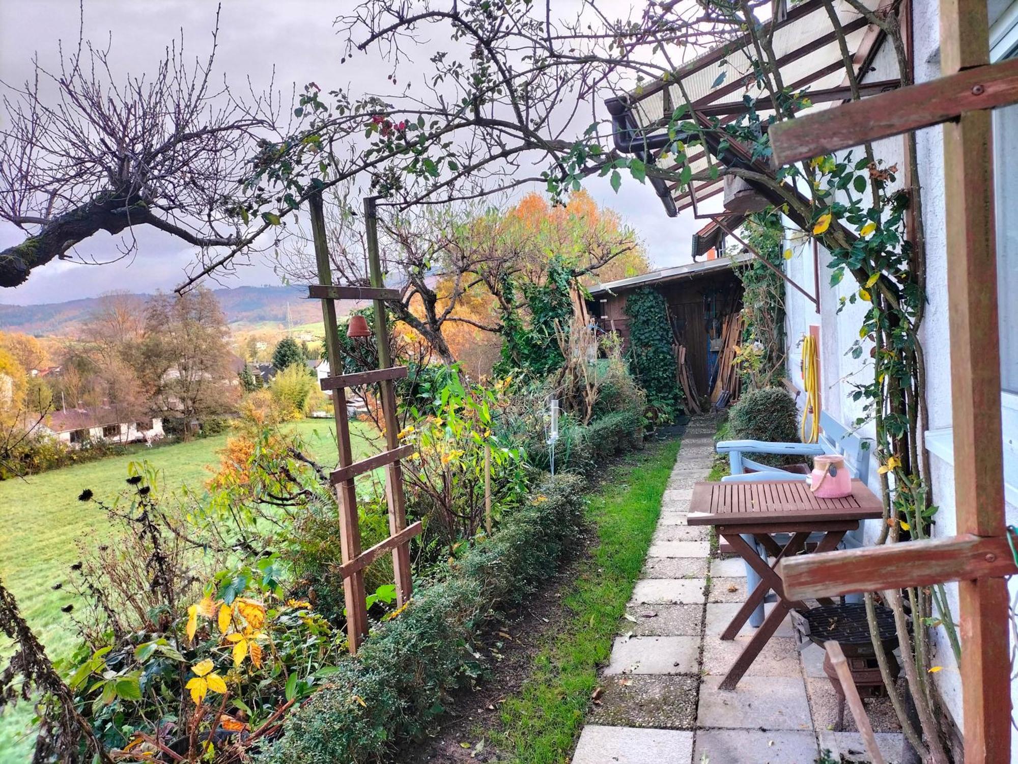 Pension Rosenblick Mörlenbach Екстериор снимка