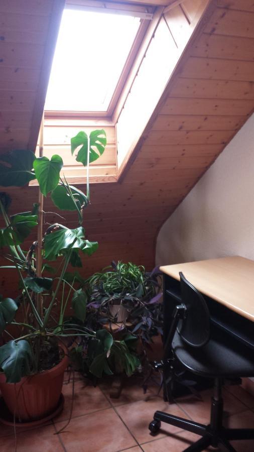 Pension Rosenblick Mörlenbach Екстериор снимка